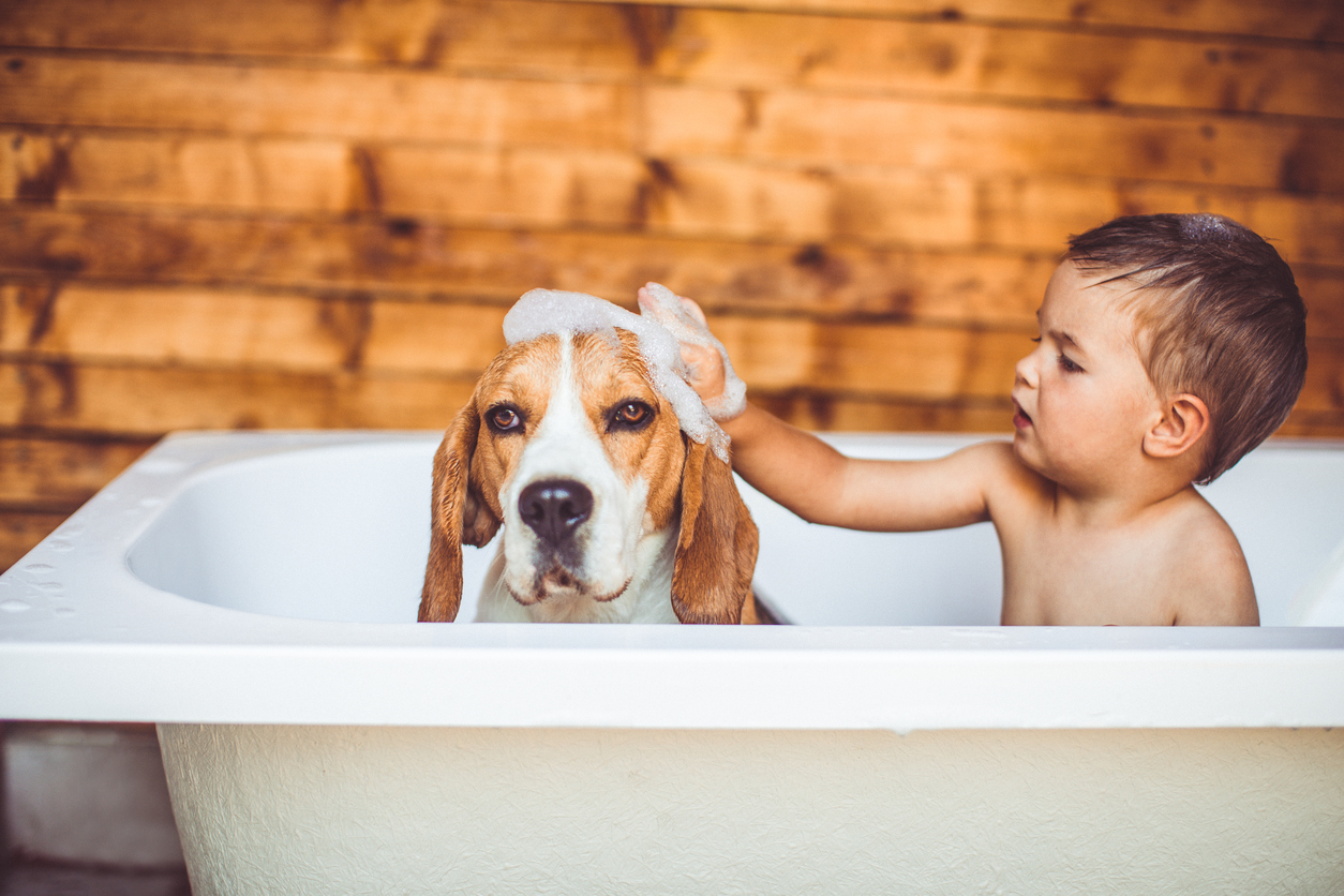 dog-in-bathtub